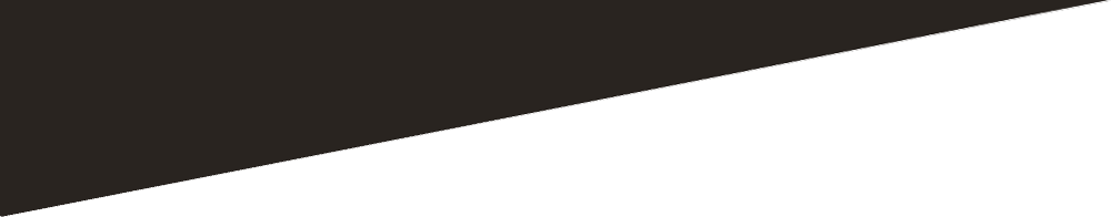 banner_triengle.png